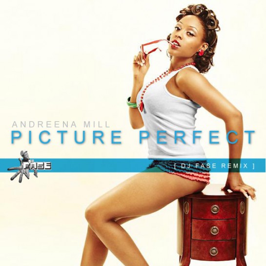 Picture Perfect Fase Remix Cover Picture Perfect Fase Remix Cover